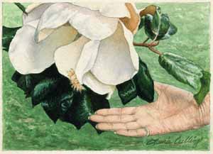 Magnolia in Hand
